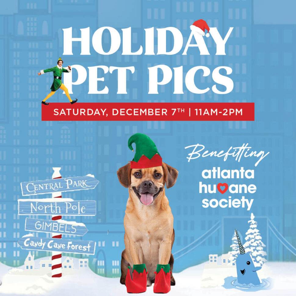 Holiday Pet Pics