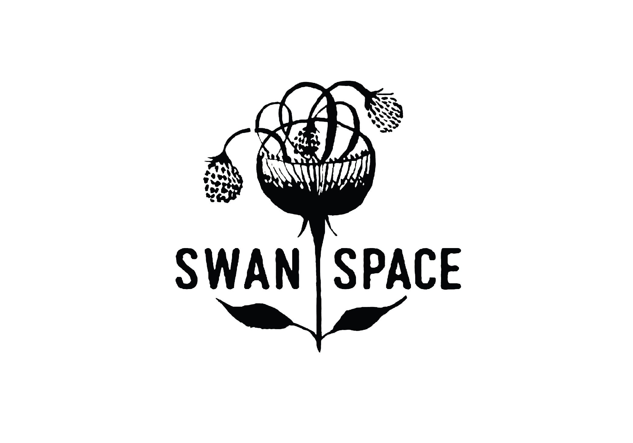 logos_swan-space