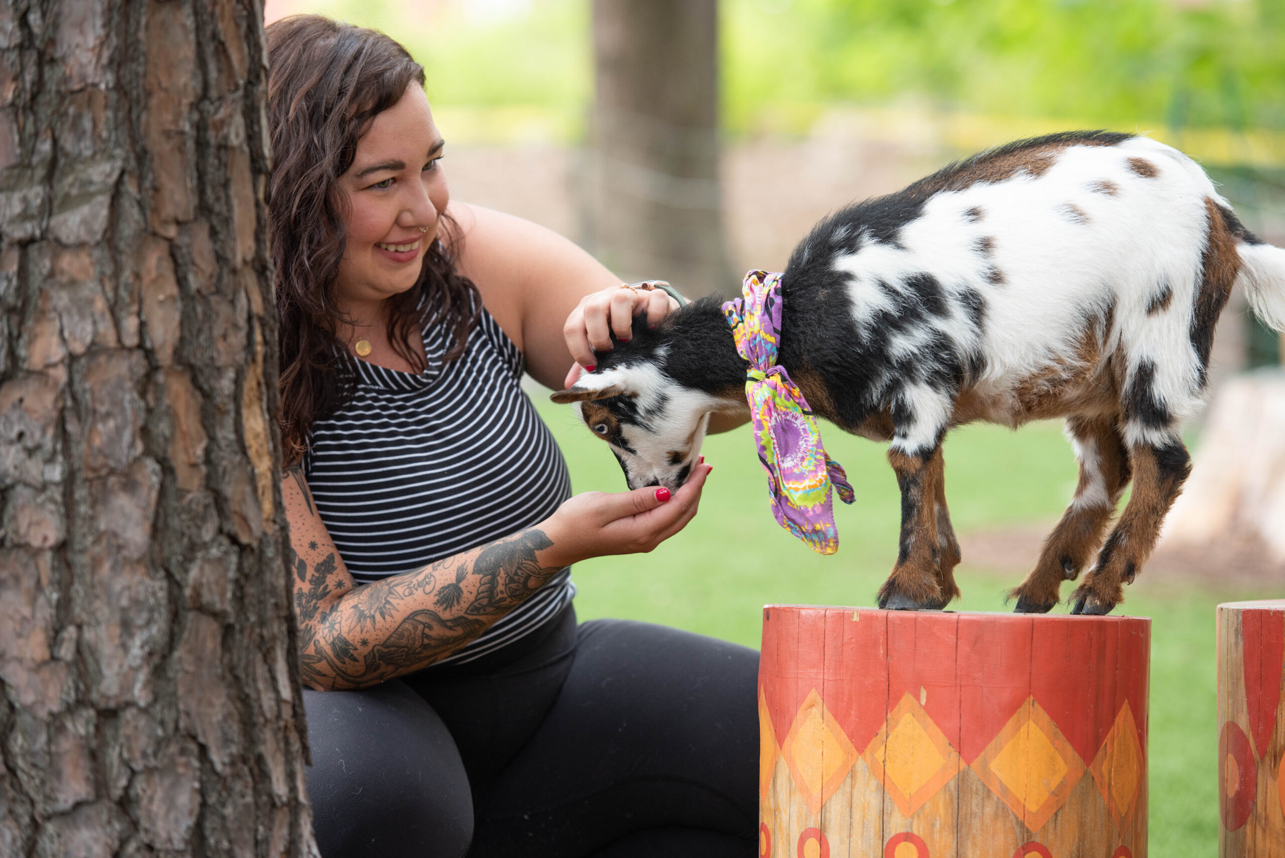 woman and goat in the camp