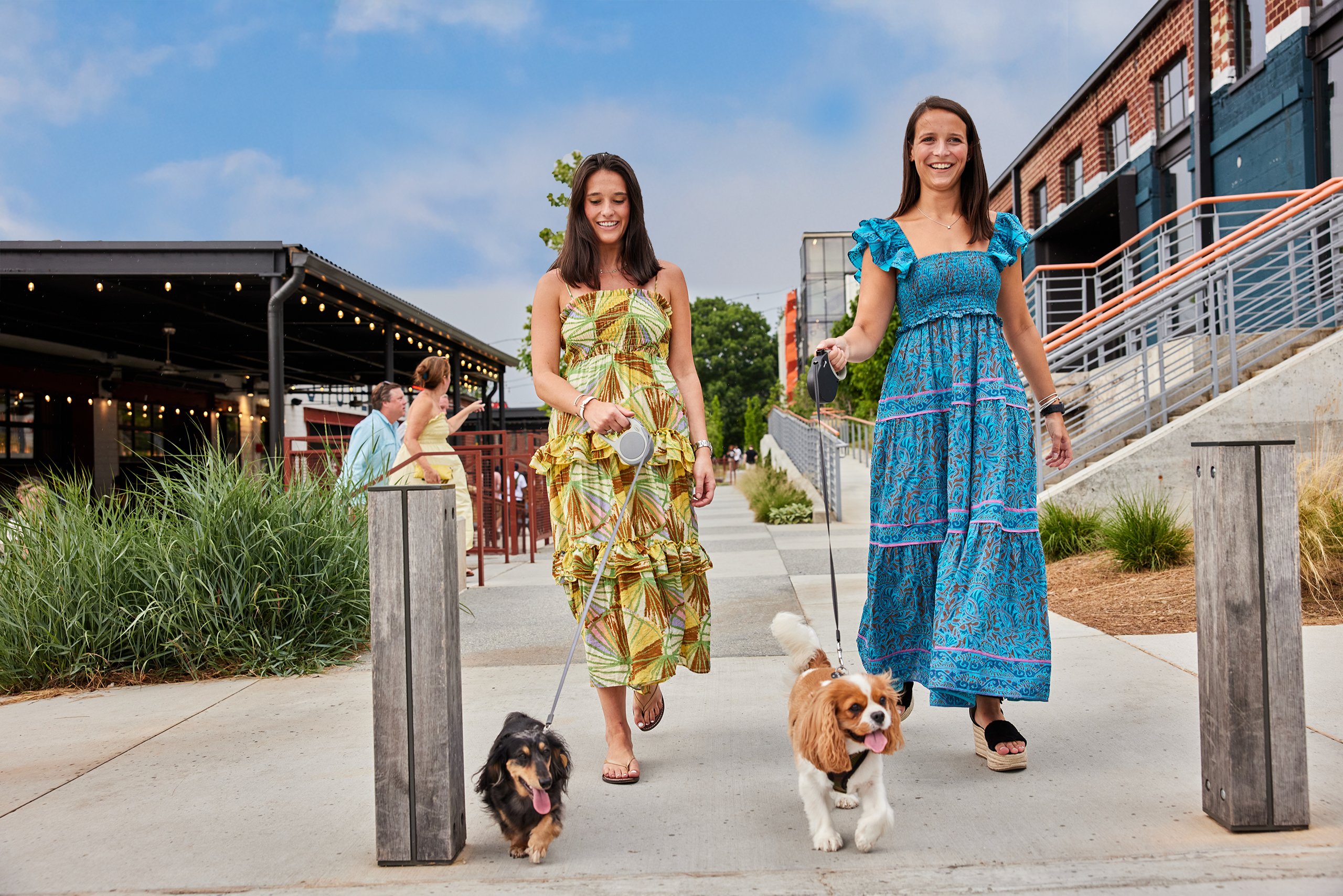 girls walking dogs