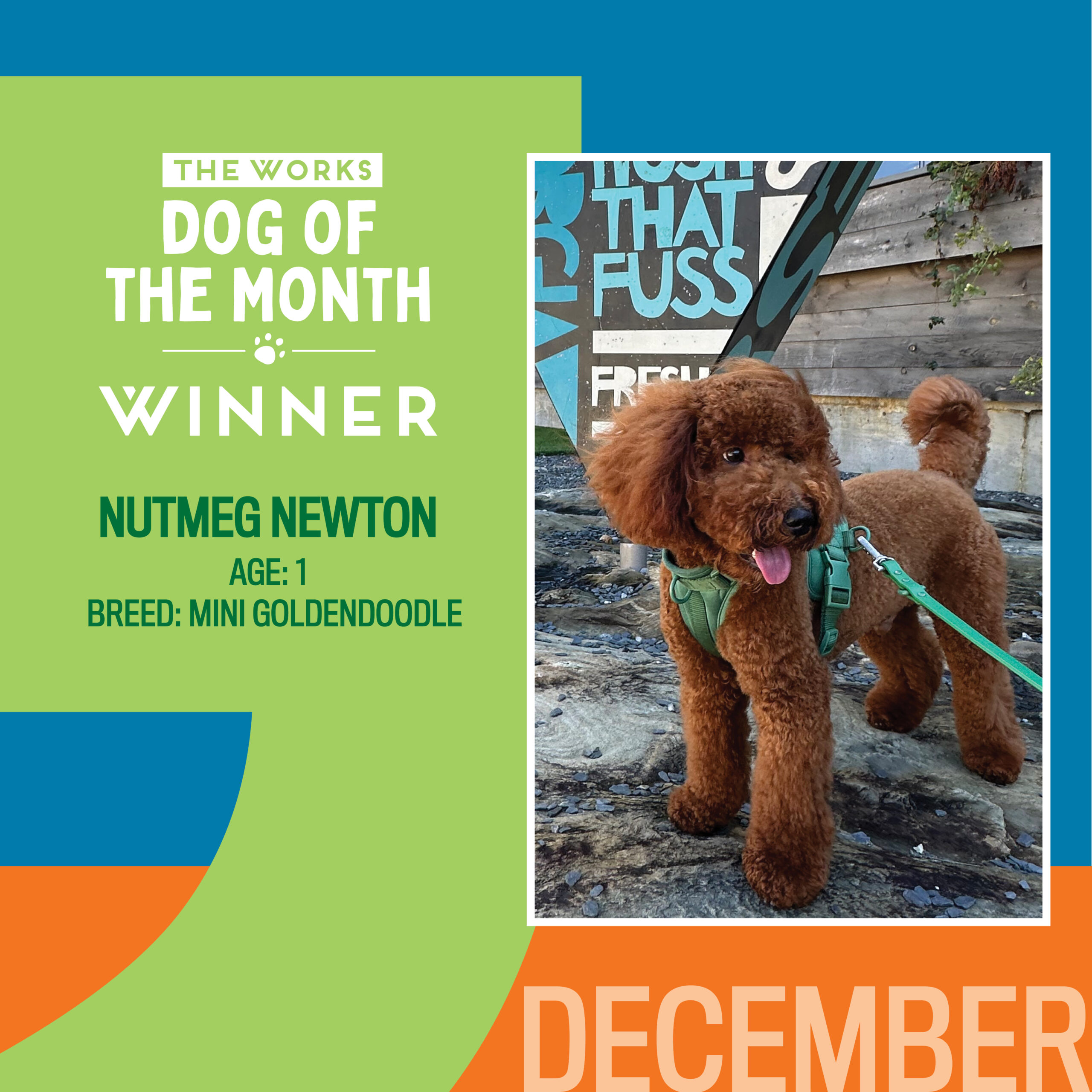 dog of the month winner