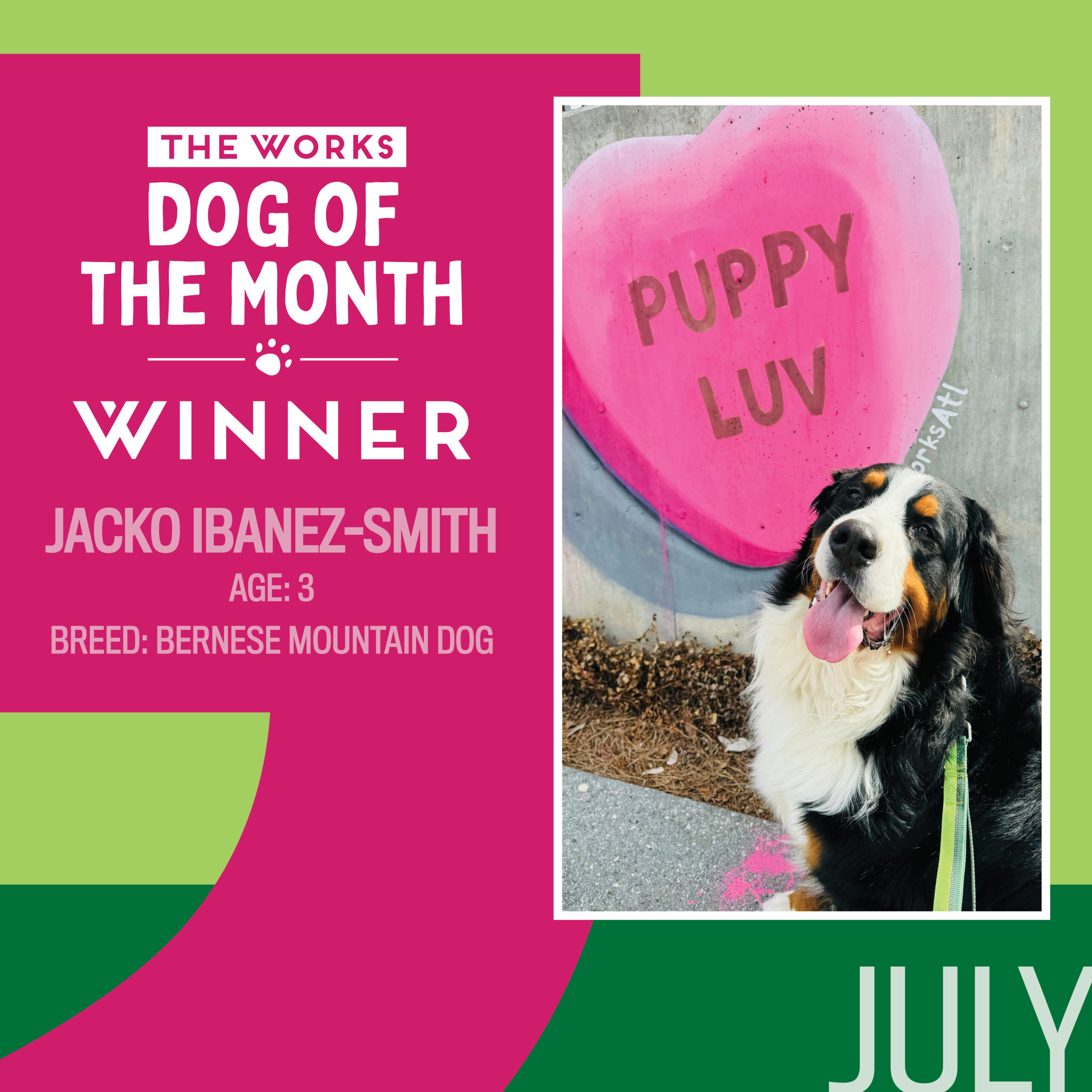 dog of the month winner