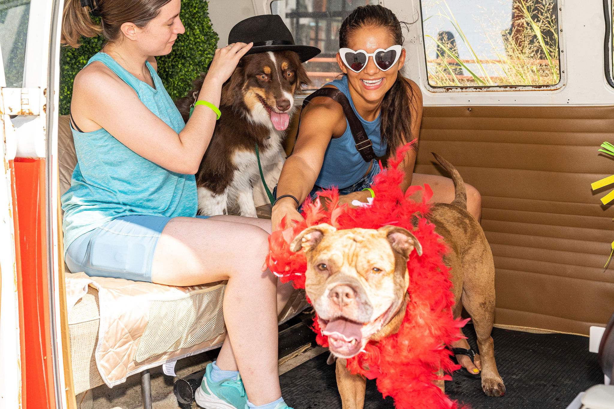 girls with dogs dressing up