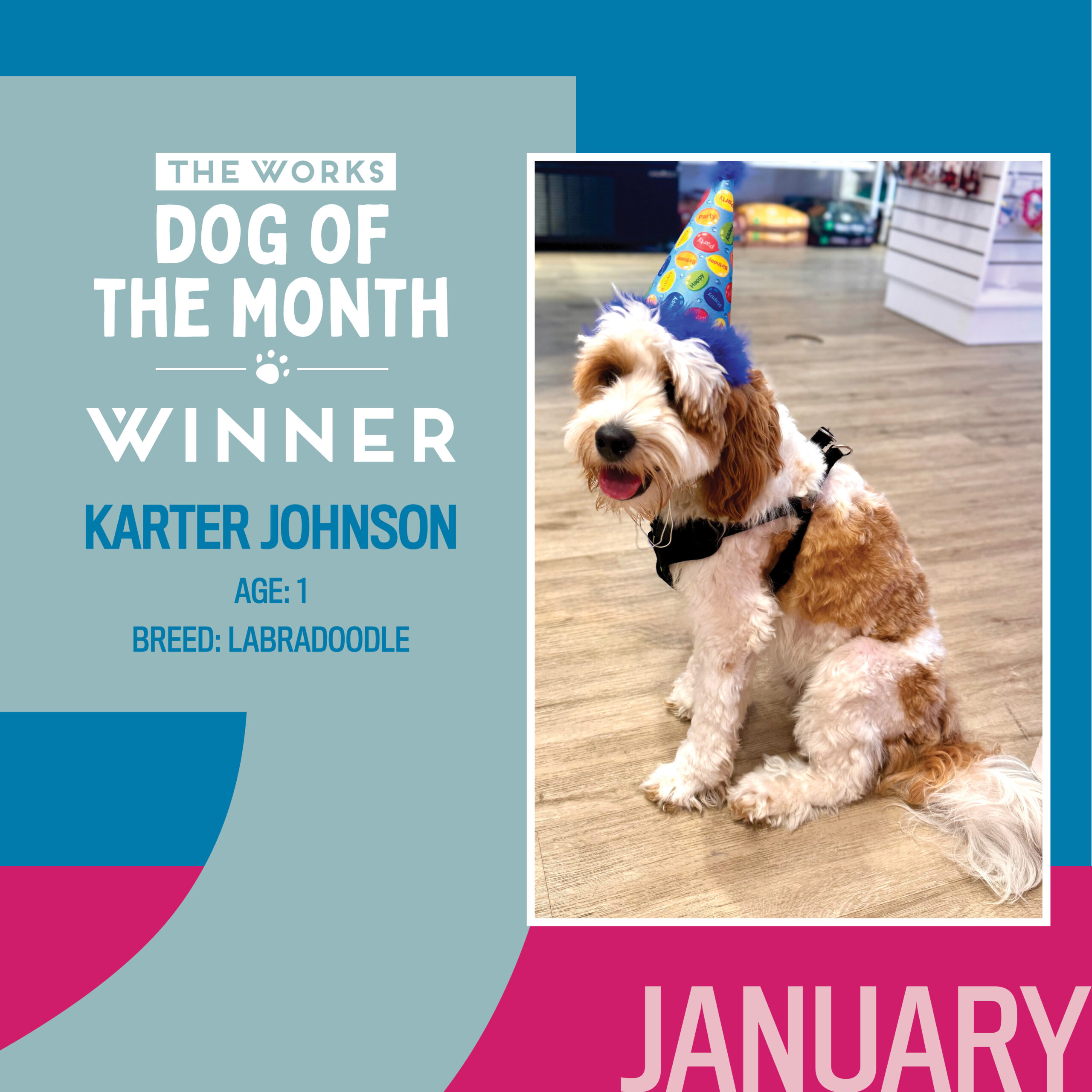 dog of the month winner
