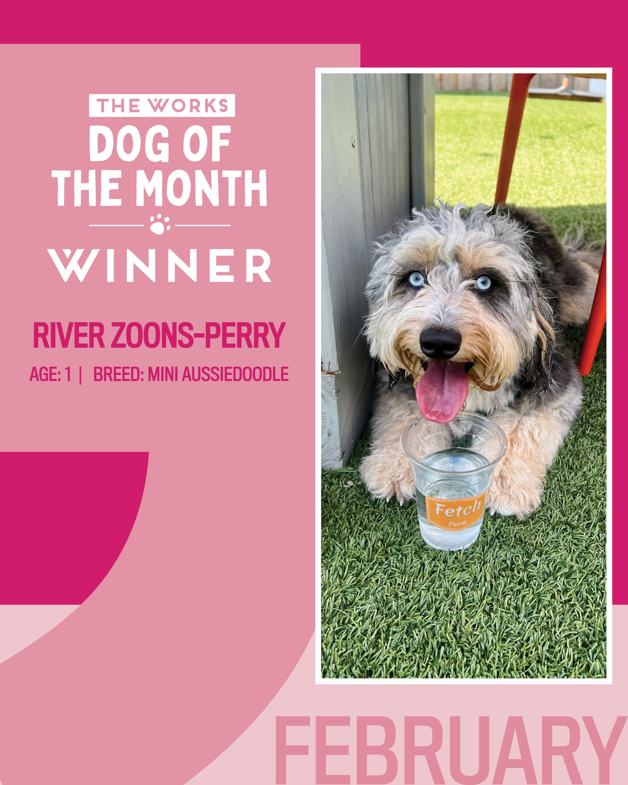 dog of the month winner