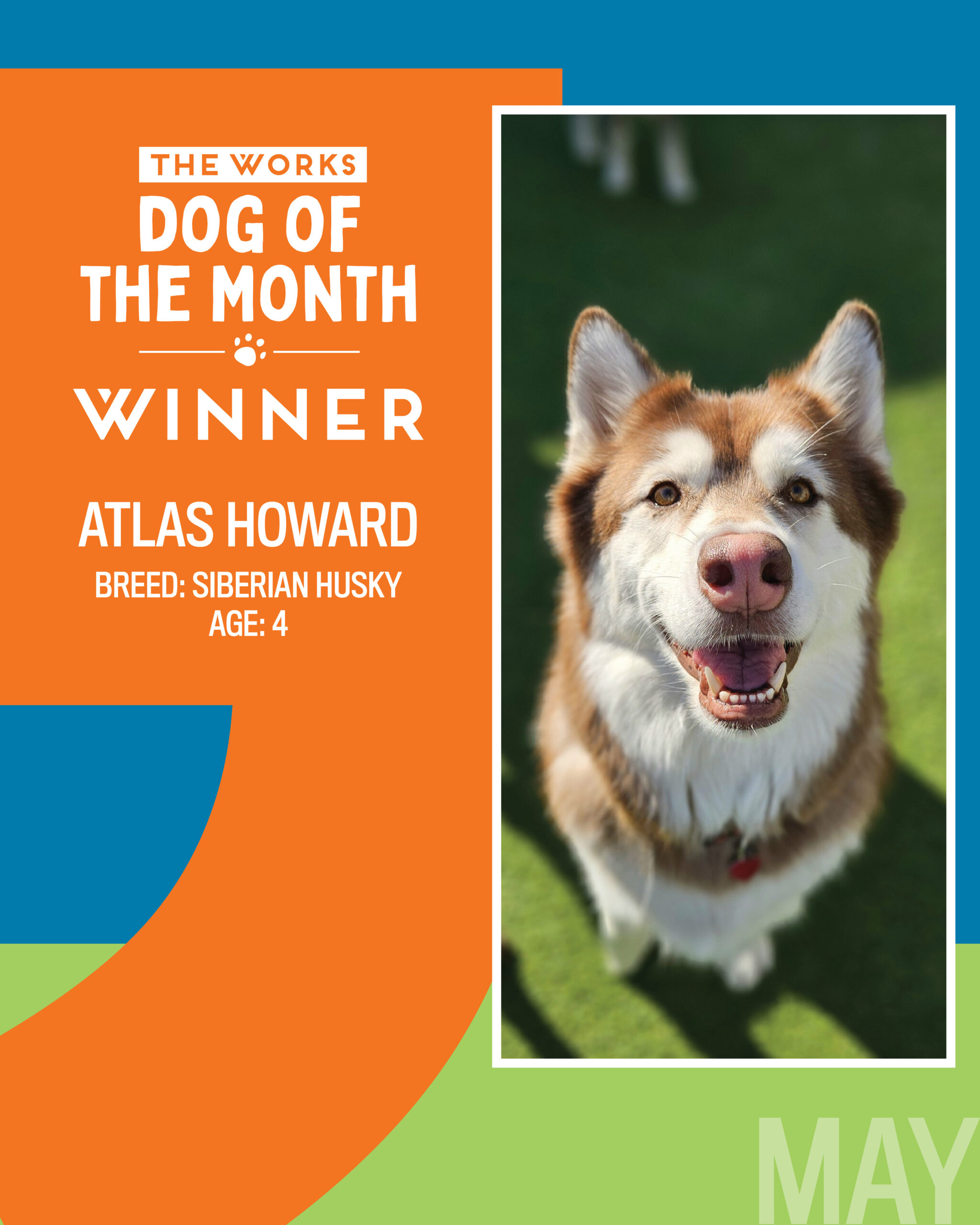 dog of the month winner