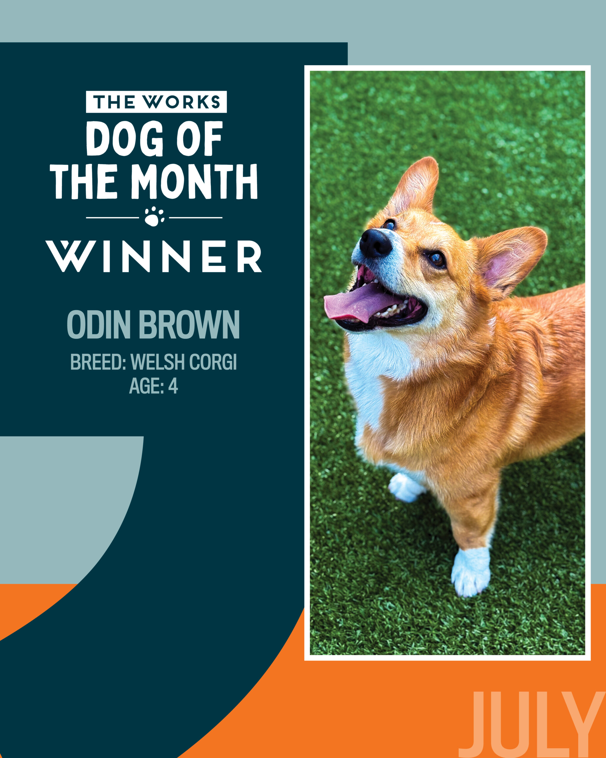 dog of the month winner