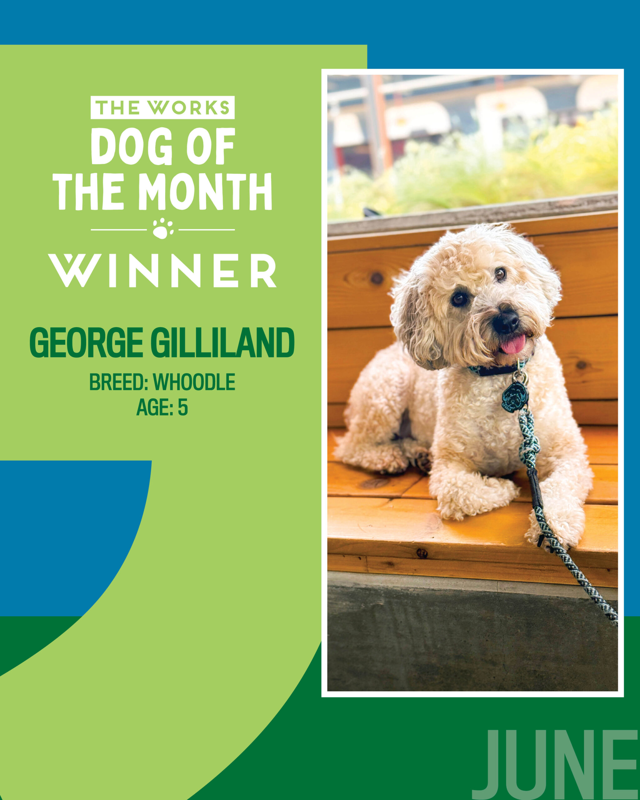 dog of the month winner