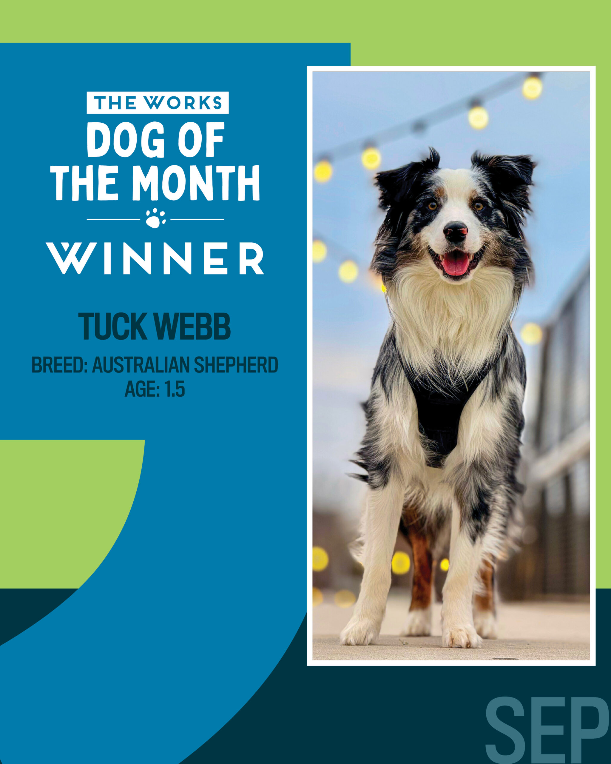 September dog of the month
