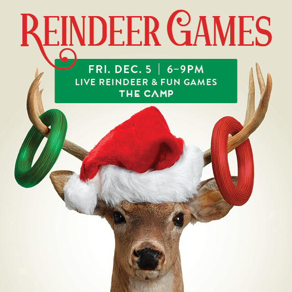 Reindeer with rings on antlers