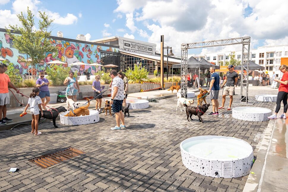 Have a meal al fresco with the whole family: Where to find Atlanta’s dog- and kid-friendly patios