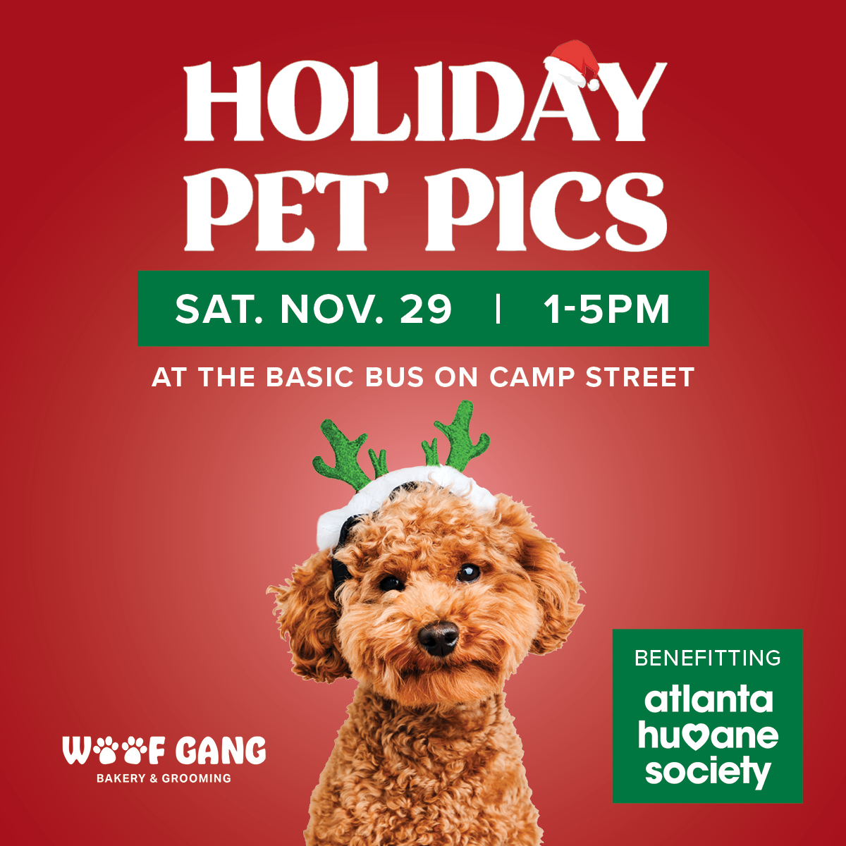 dog wearing sparkly green reindeer antlers