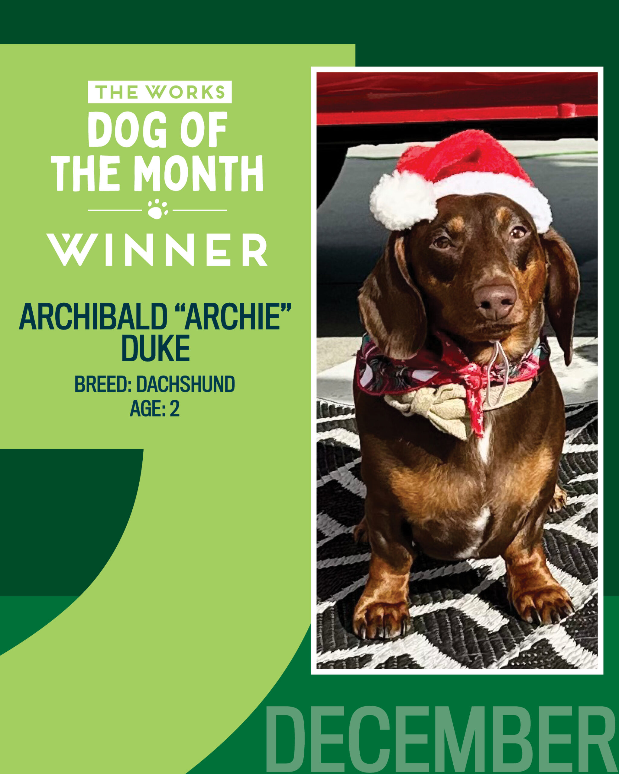 Dog of the month December