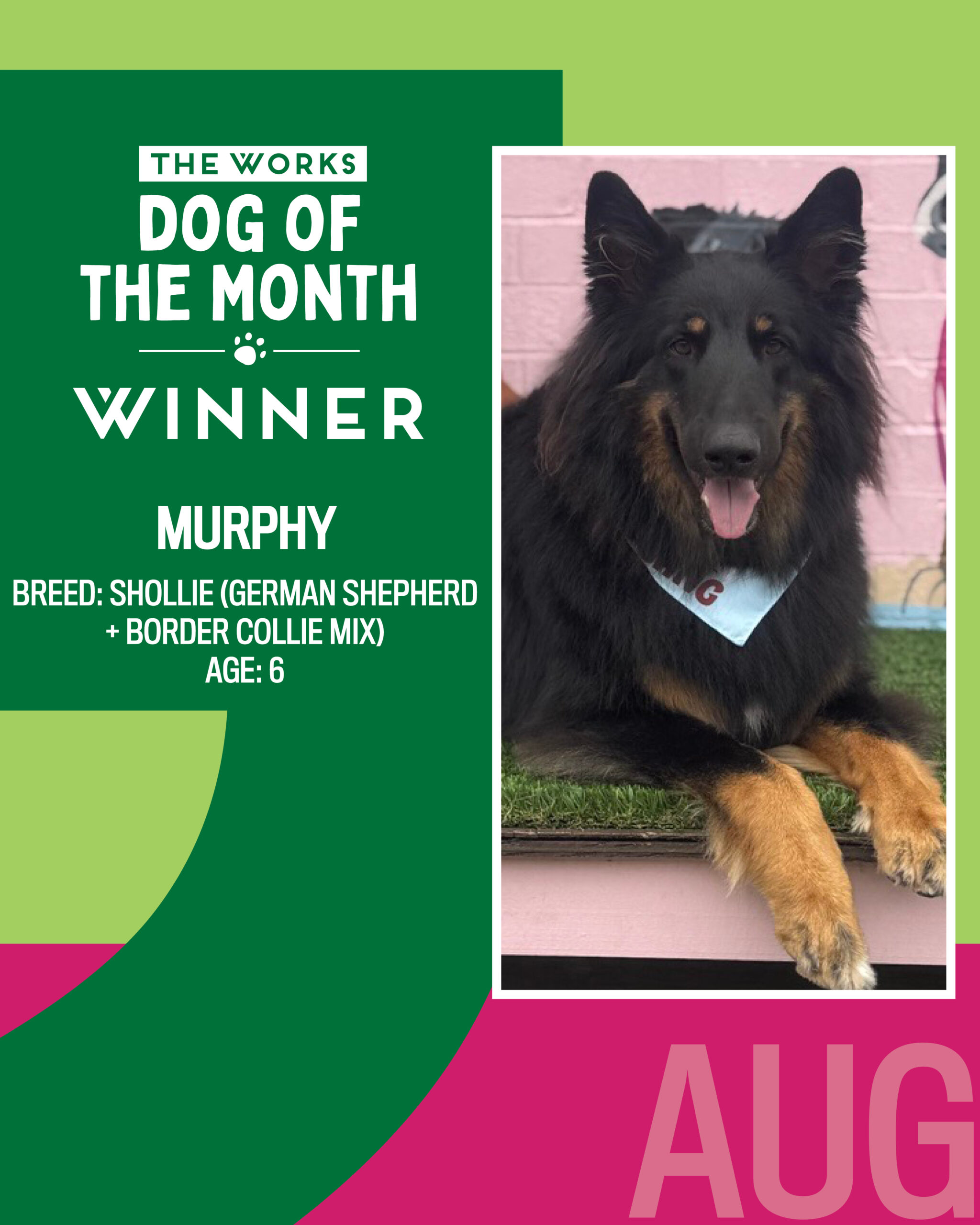 August 2026 Dog of the Month