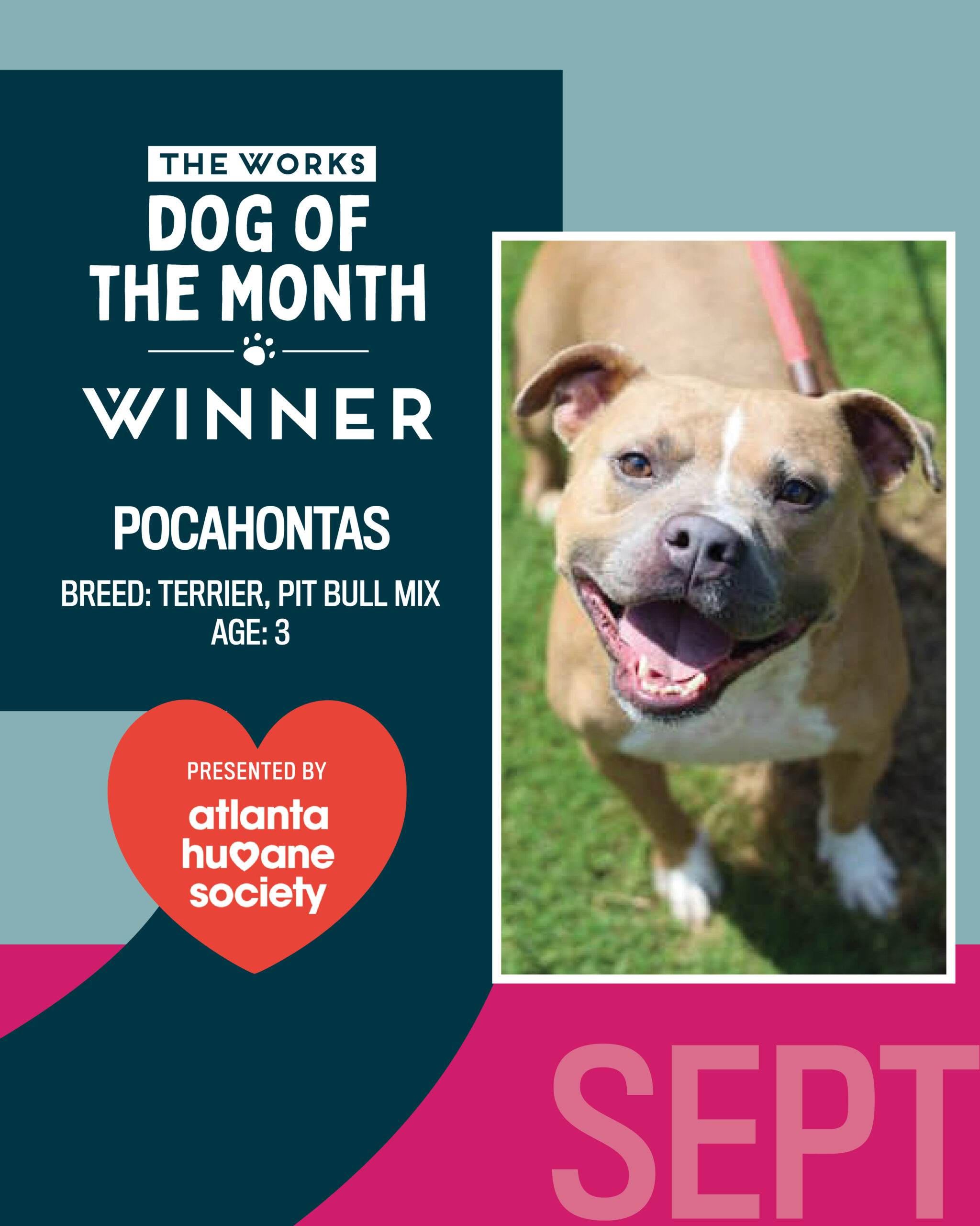 Dog of the Month September 2026
