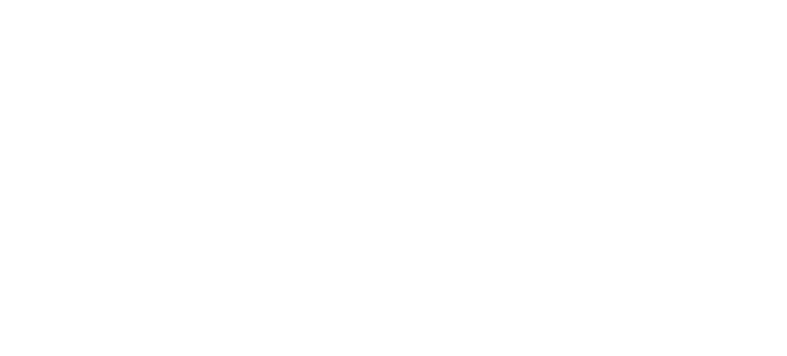 logo_CN_white