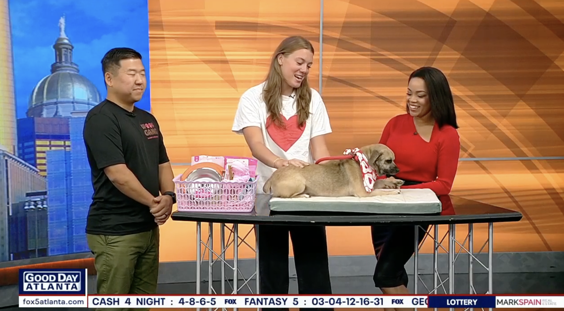 Pet of the Day Segment on Fox 5